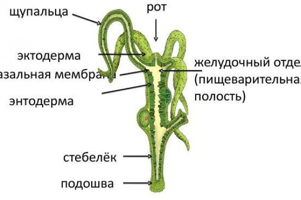 Доступ кракен