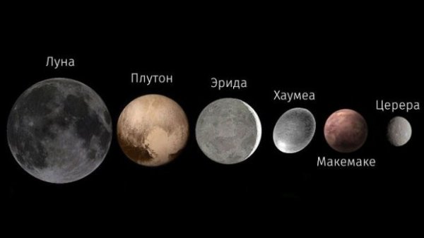Тор для кракена